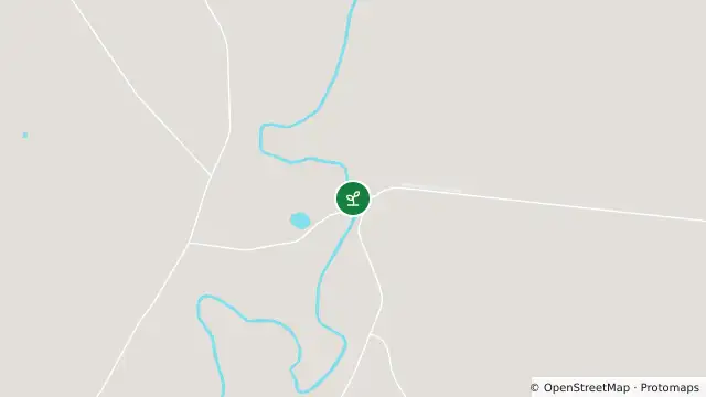 Map of Algal Status Green — 425004 - Darling River At Louth and nearby items