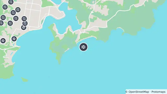 Map of Drone Surveillance Location — Killcare Beach and nearby items