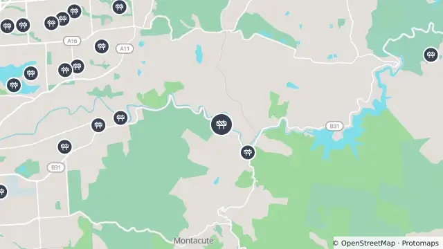 Map of Tree Pruning — Gorge Road, Montacute and nearby items