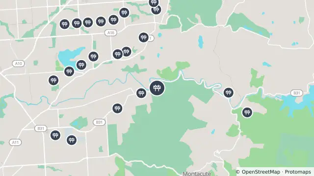Map of Tree Pruning — Gorge Road, Montacute and nearby items