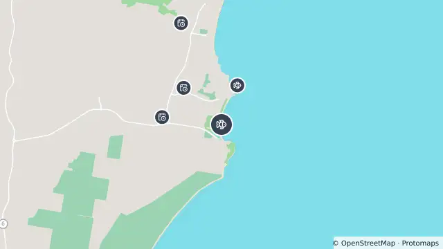 Map of Drone Surveillance Location — Black Head Beach and nearby items