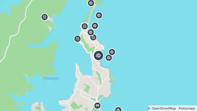 Map of Drone Surveillance Location — Whale Beach and nearby items