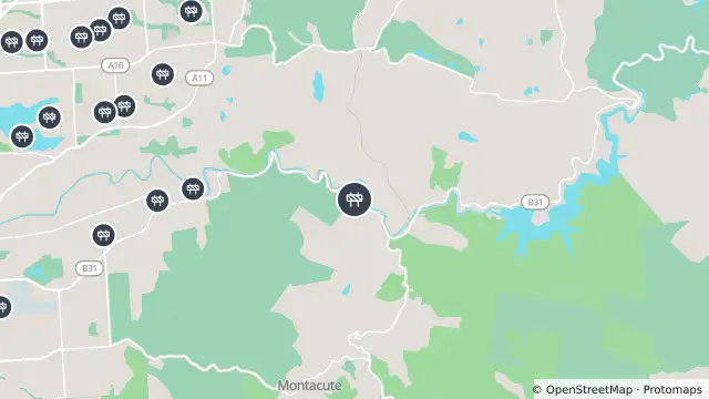 Map of Tree Pruning — Gorge Road, Montacute and nearby items